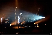 NIK_33393 Mesparrow 17-12-2016 (Zz) (p)